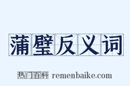 蒲璧反义词是什么意思的图片